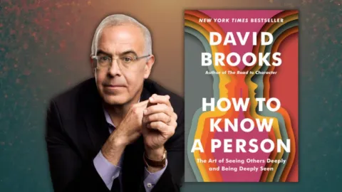 David Brooks